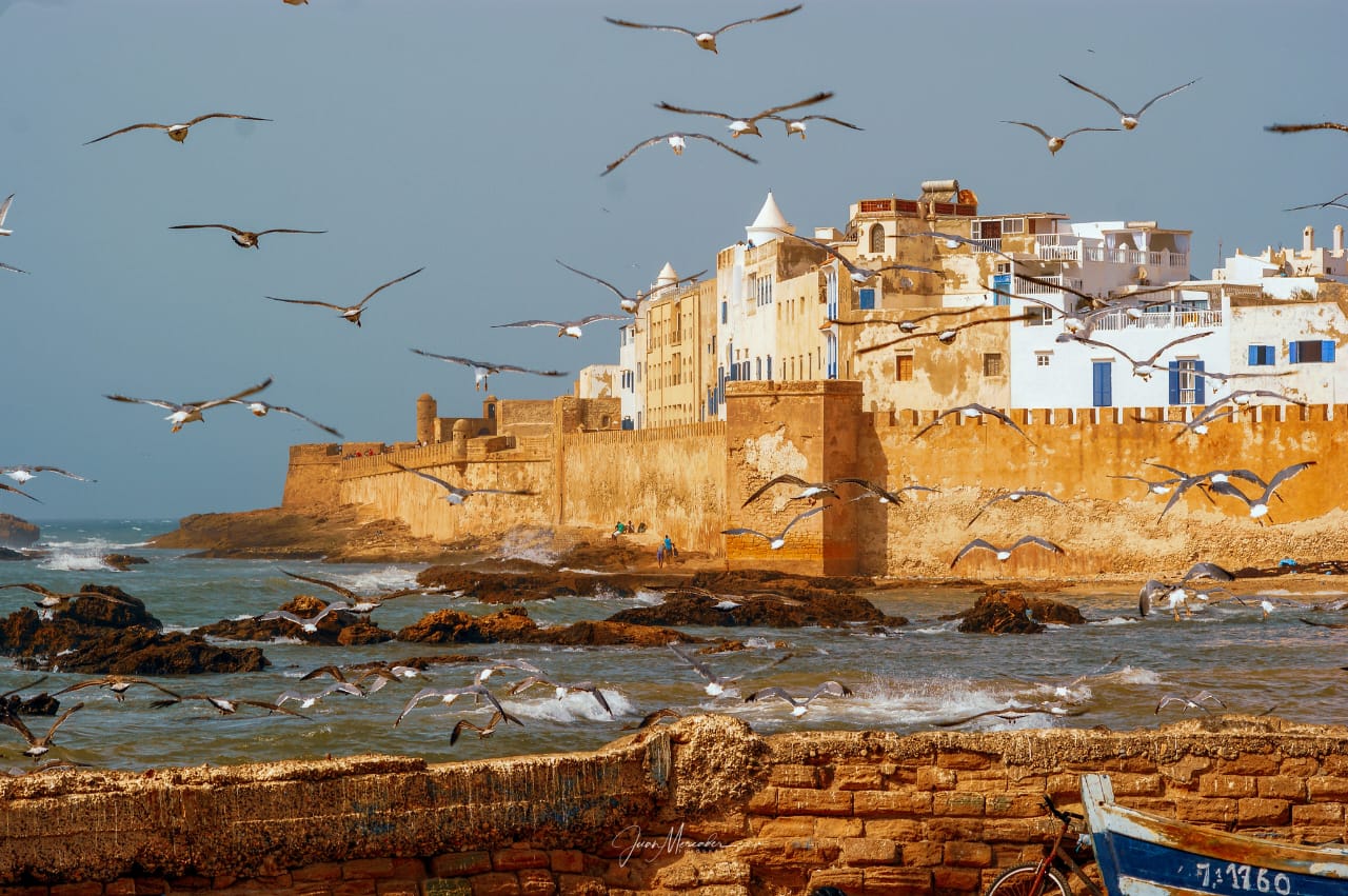 Excursion à Essaouira